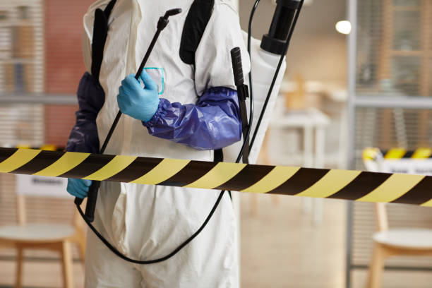 Professional Sewage Cleanup technician working in Flagtown, NJ